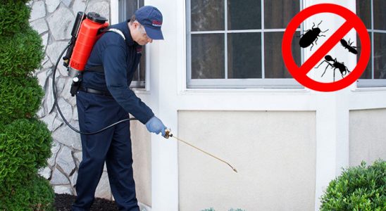 Çilimli Böcek İlaçlama böcek ilaçlama ve haşere kontrolü — ilaclama-tr.com